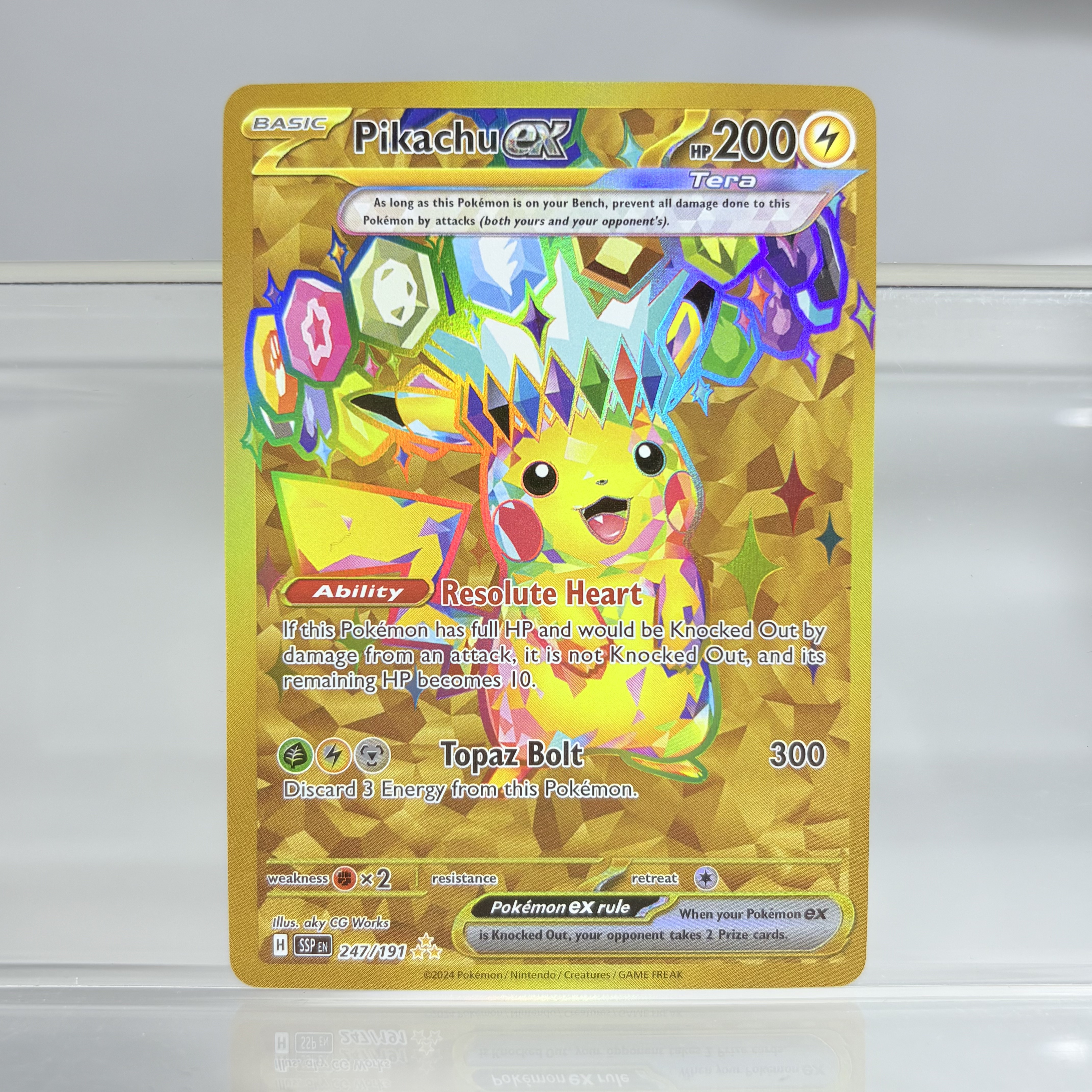Holographic Game Trading Colle - Pokemon Binder Card ulasan dan harga