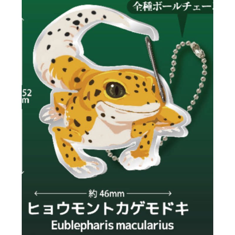 Gecko Lover Carabiner Gashapon - Capsule Toy Gashapon ulasan dan harga